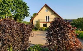 Gospodarstwo Agroturystyczne Damroka